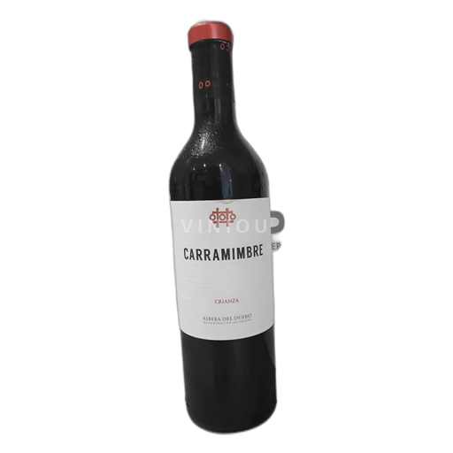 Castilien og León Ribera del Duero Bodegas Carramimbre 2020