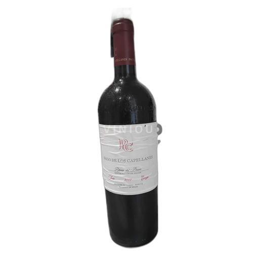 Castilien og León Ribera del Duero Pago de los Capellanes 2011
