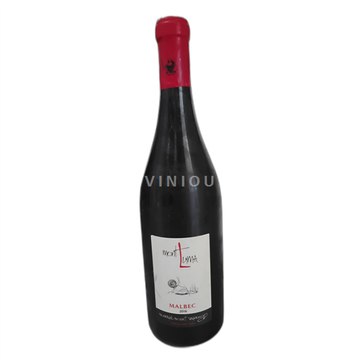 Loire Valley Touraine-Amboise Bonnigal Bodet 2016