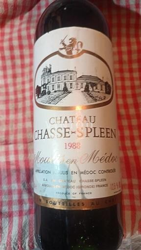 Bordeaux Moulis-en-Médoc CHÂTEAU CHASSE SPLEEN 1988