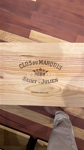 Burdeos Saint-Julien Clos Du Marquis 2020