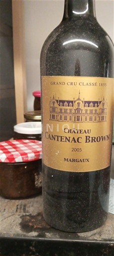 Bordeaux Margaux Grand Cru Château Cantenac Brown Brio 2005