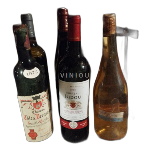 Vin Rouge sec Château Bidou 2018 France Bordeaux Côtes-de-bourg AOC Grand Cru