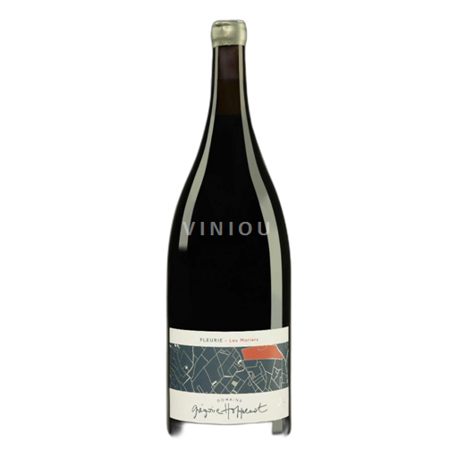 Beaujolais Fleurie Domaine Grégoire Hoppenot Les Moriers 2021