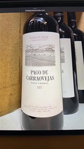 Castilien og León Ribera del Duero Pago De Carraovejas 2022