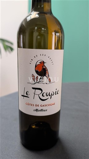 South West Côtes de Gascogne Le Roupic 2023