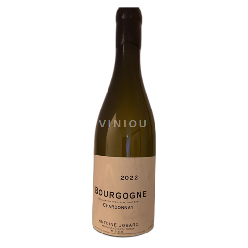 Bourgogne Antoine Jobard 2022