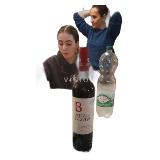 Vin Rouge sec Adega de Borba 2021 Portugal Portugal Alentejo DOC