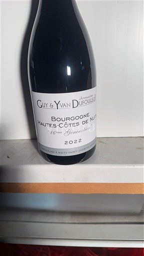 Bourgogne Hautes Côtes de nuits Domaine Guy & Yvan Dufouleur 16ème Génération 2022