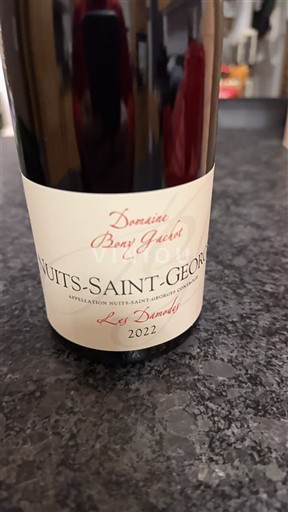 Burgundsko Nuits-saint-georges Premier Cru Domaine Bony Gachot Les Damodes 2022