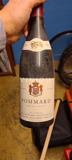Bourgondië Pommard Cave Des Hautescôtes 1993