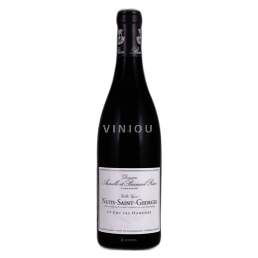 Burgundi Nuits-saint-georges Premier Cru Domaine Rion Les Damodes 2022