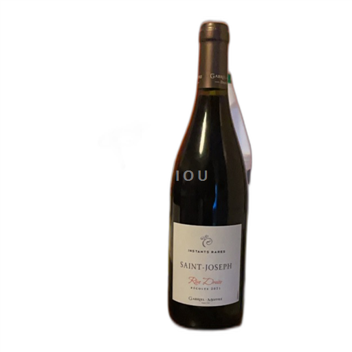 Valle del Rodano Saint-Joseph Gabriel Meffre Rive Droite 2021