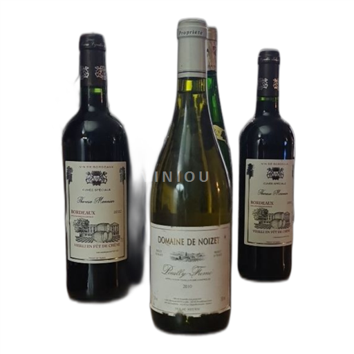 Loiredalen Pouilly-fumé Domaine Noizet 2010