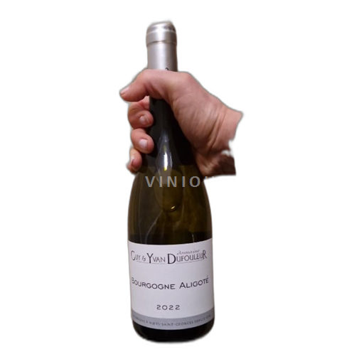 Burgundija Bourgogne Aligoté Domaine Guy & Yvan Dufouleur 2022
