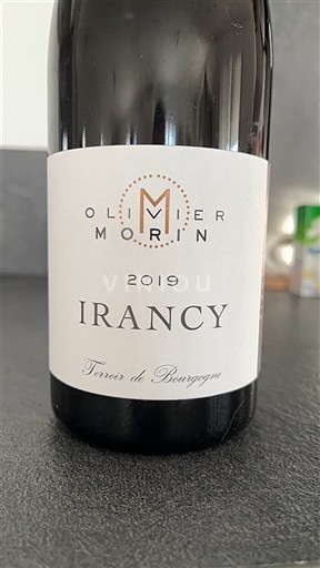 Burgundsko Irancy Olivier Morin 2019