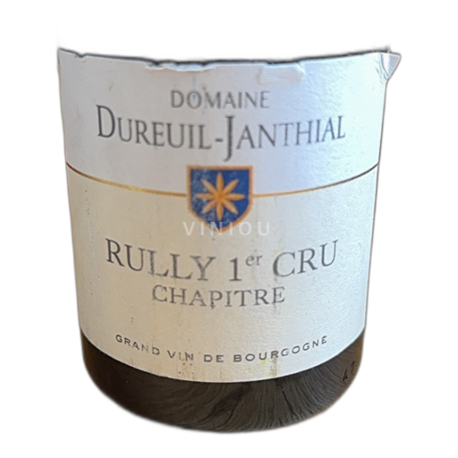 Bourgogne Rully Premier Cru Domaine Dureuiljanthial Chapitre 2018
