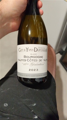 Weine Blanc sec 16ème Génération Domaine Guy & Yvan Dufouleur 2023 Frankreich Burgund Hautes Côtes de Nuits AOC