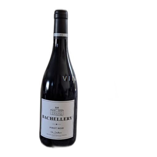 Languedoc và Roussillon Vùng đất Oc Domaine Bachellery 2023
