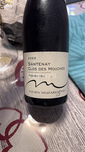 Burgundy Santenay Premier Cru Lucien Muzard & Fils Clos des Mouches 2022
