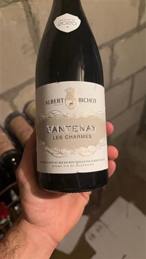 Borgoña Santenay Grand Cru Albert Bichot Les Charmes 2020
