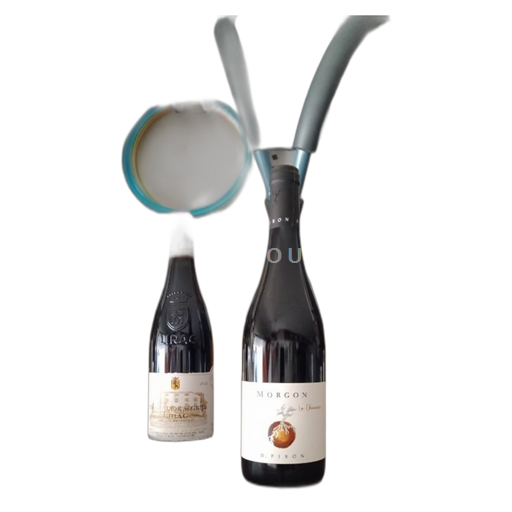 Beaujolais Morgon D. Piron La Chanaise 2023