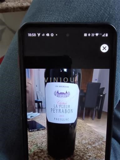Bordeaux Pauillac Château La Fleur Peyrabon 2015