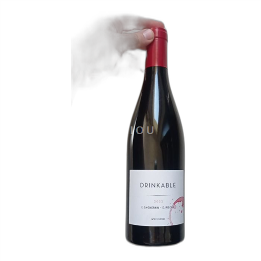 Thung lũng Rhône Gagnepain Risoul Drinkable 2022