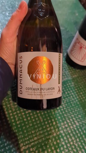 Loire Valley Coteaux du Layon Dumnacus 2022