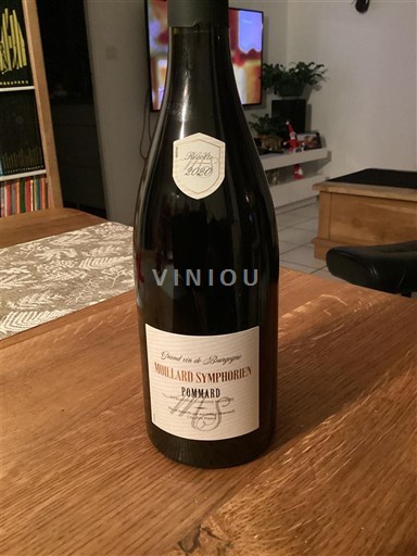 Bourgogne Pommard Grand Cru Moillard Symphorien 2020