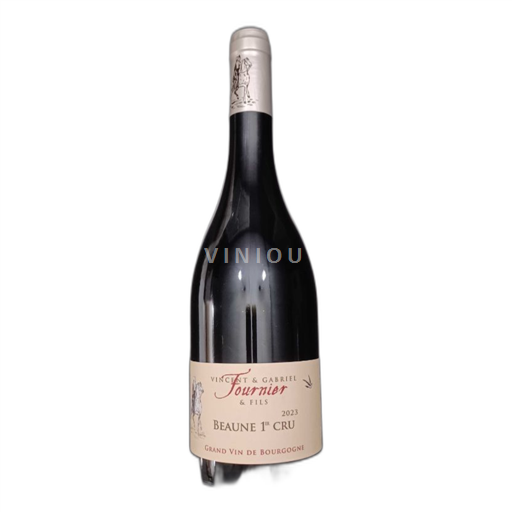 Burgundy Beaune Premier Cru Domaine La Galopière 2023
