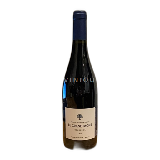 Loiredalen Bourgueil Domaine Delanoue Frères Le Grand Mont 2022
