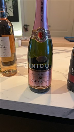 Borgoña Crémant de Borgoña Louis Bouillot Sin añada