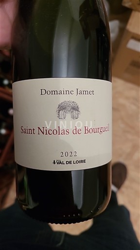 Valle della Loira Saint-Nicolas-De-Bourgueil Domaine Jamet 2022