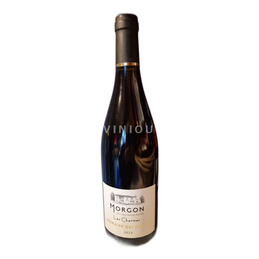 Beaujolais Morgon Domaine Des Pillets Les Charmes 2023