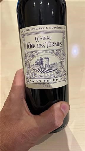 Vin Rouge sec Château Tour des Termes 2019 France Bordeaux Saint-Estèphe AOC Cru Bourgeois Supérieur