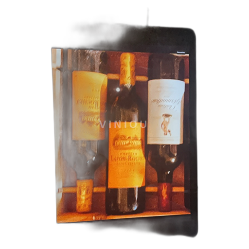 Bordeaux Saint-Estèphe Château Lafonrochet 2004