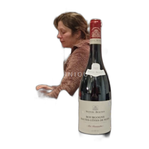 Bourgogne Hautes Côtes de Nuits Nuitonbeaunoy Les Fournaches 2022