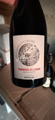 Langvedok Terrasses-du-Larzac Les Raisins Y Croire 2020