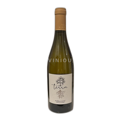 Languedoc Ospecificerad Moulin De Gassac Tèrra 2022