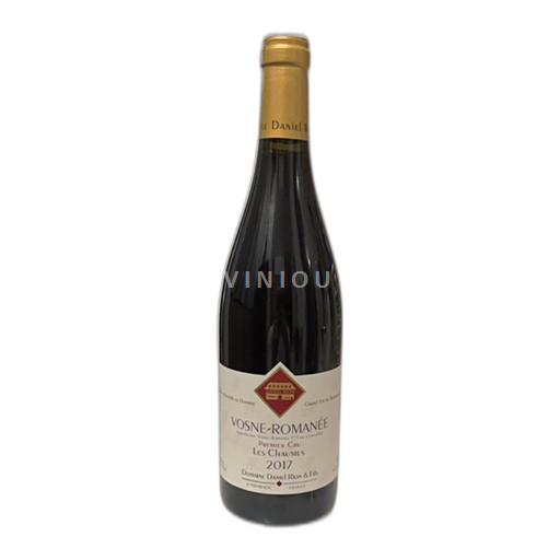 Burgundy Vosne-Romanée Premier Cru Domaine Daniel Rion & Fils Les Chaumes 2017