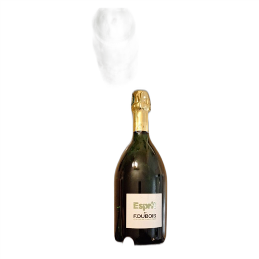 Champagne Nespecifikováno Esprit Neročník
