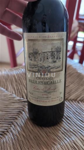 Bordeaux Côtes de Bourg Château Brulesécaille 1995