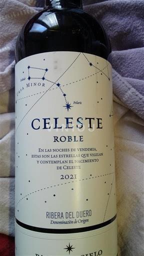 Castilla y León Ribera del Duero Roble 2021