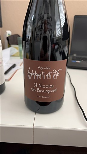 Thung lũng sông Loire Saint-Nicolas-De-Bourgueil Vignoble Audebert Et Fils Les Graviers 2023
