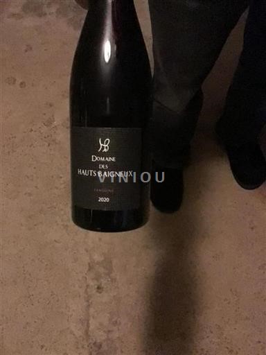 Thung lũng sông Loire Touraine Domäne Des Hauts Baigneux Sanguine 2020