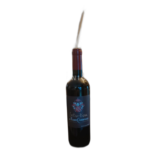 Bordeaux Saint-Émilion Château Fleur Cardinale Intuition 2020