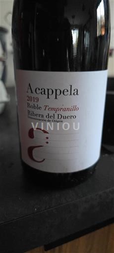 Kastilja in León Ribera del Duero Roble Tempranillo 2019