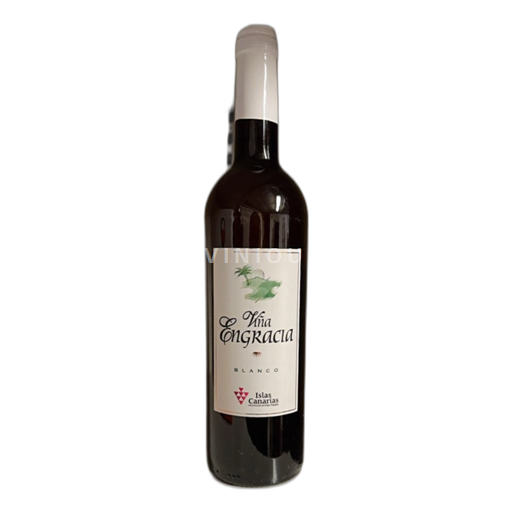 Kanarische Inseln Valle de la Orotava Bienes Balja Icod De Los Vinos 2019 Ohne Jahrgang