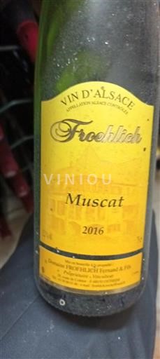 Alsace Ikke specificeret Domaine Froehlich Fernand & Fils Muscat 2016